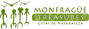 Monfragüe Treasures – Guías de Naturaleza